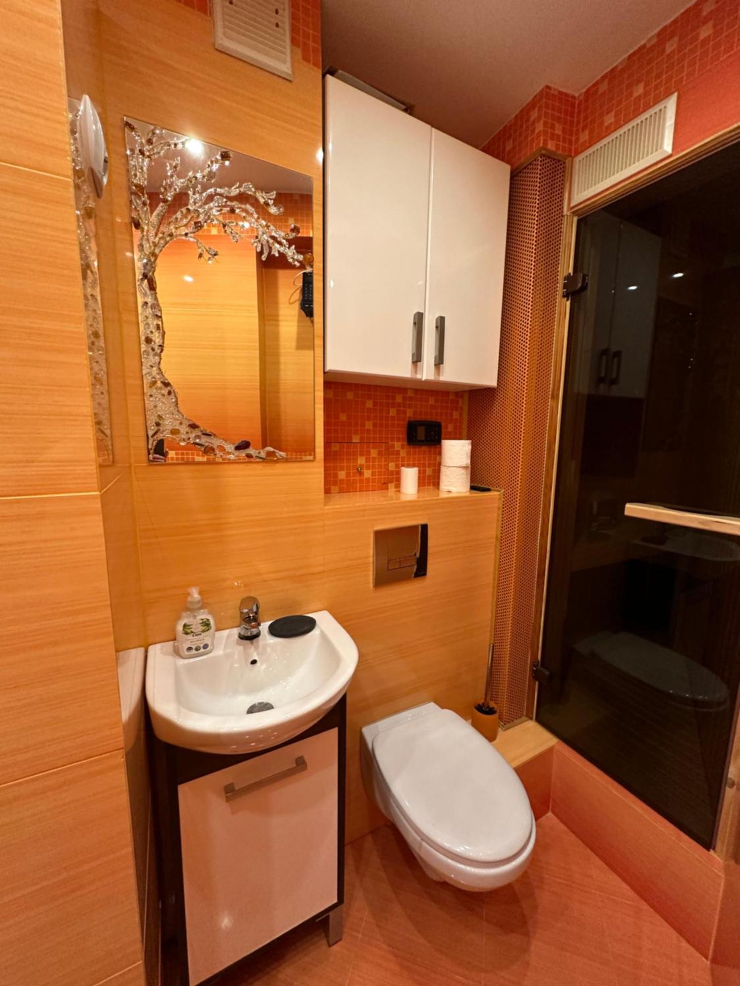 Large, Luxury Condo With Sauna Пжемысл Экстерьер фото